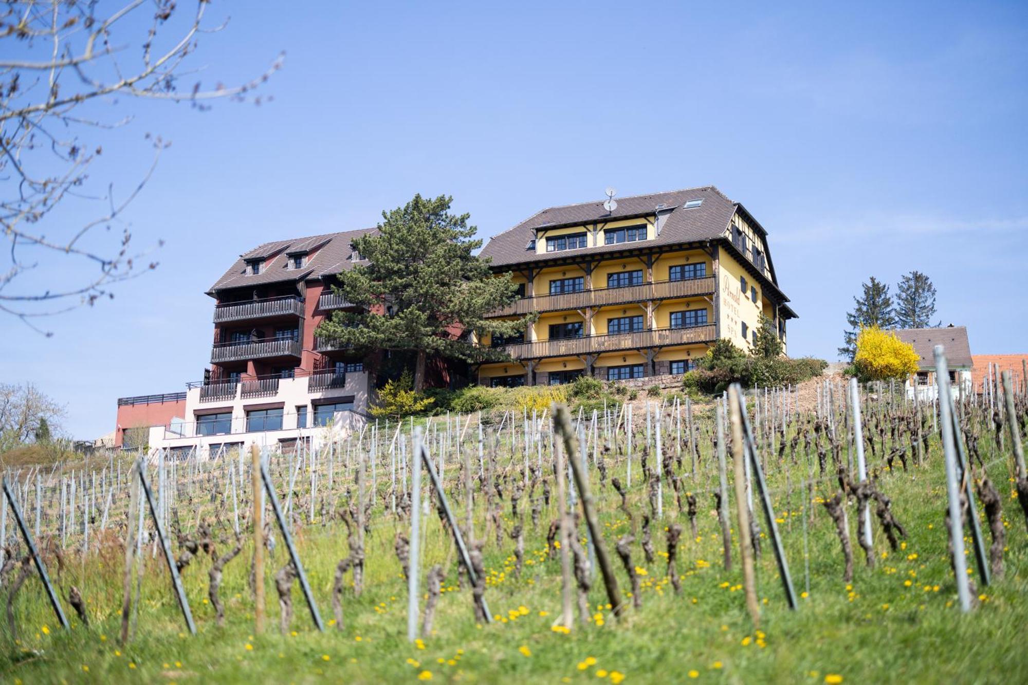 Hotel Arnold 3*